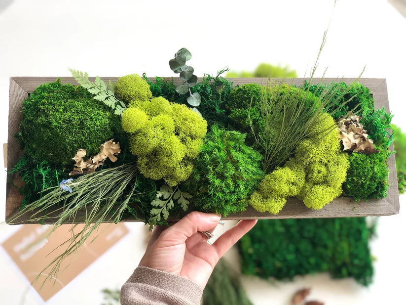 Moss Frame Making Workshop