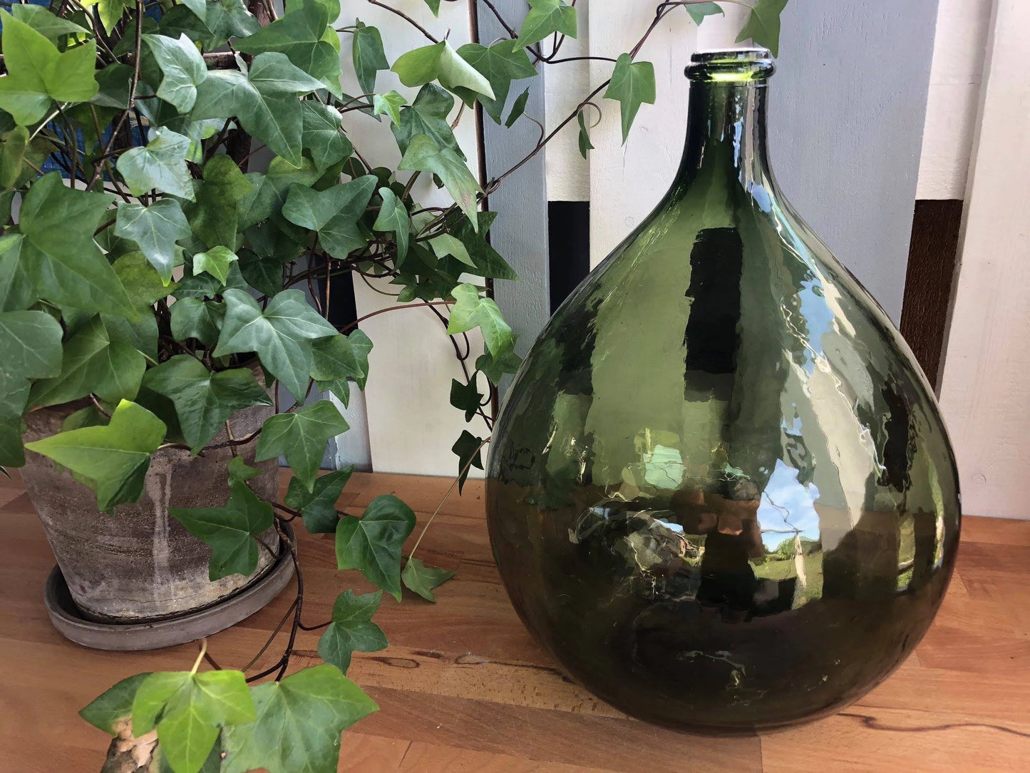 Dame Jeanne vert olive 10L, antique vase 1960s, vintage vase