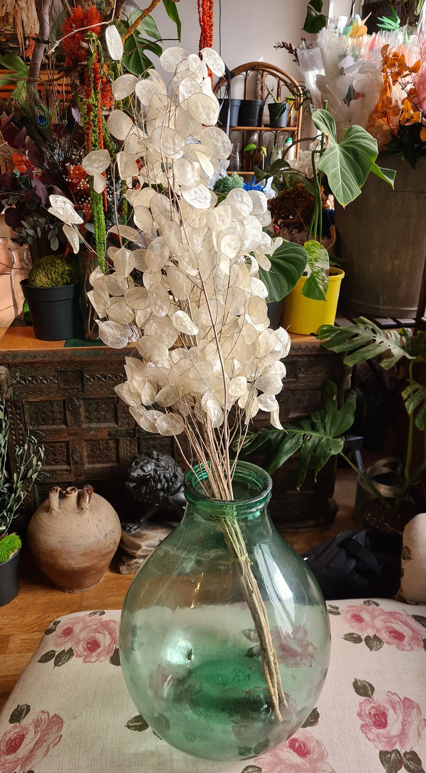 AncienXL size 22L Antique French Demijohn/Dame jeanne light green grande ouverture terrarium