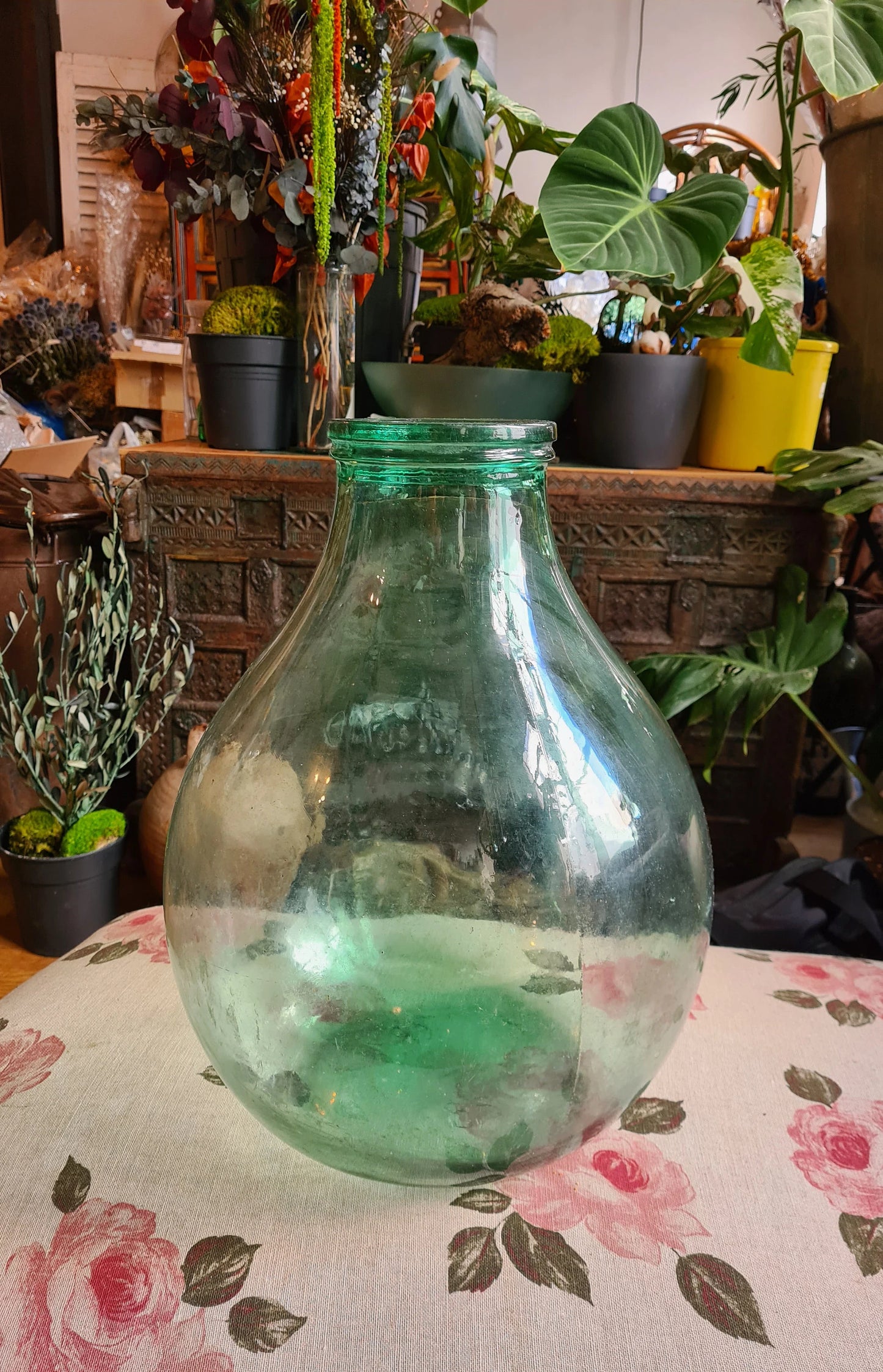 AncienXL size 22L Antique French Demijohn/Dame jeanne light green grande ouverture terrarium