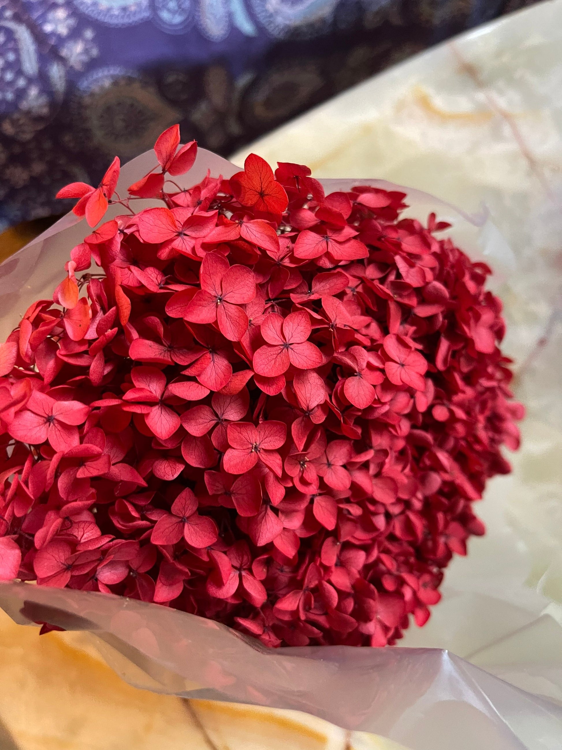 Preserved hydrangea Red color, horstensia preservé, stabilisé, diametre 20cm