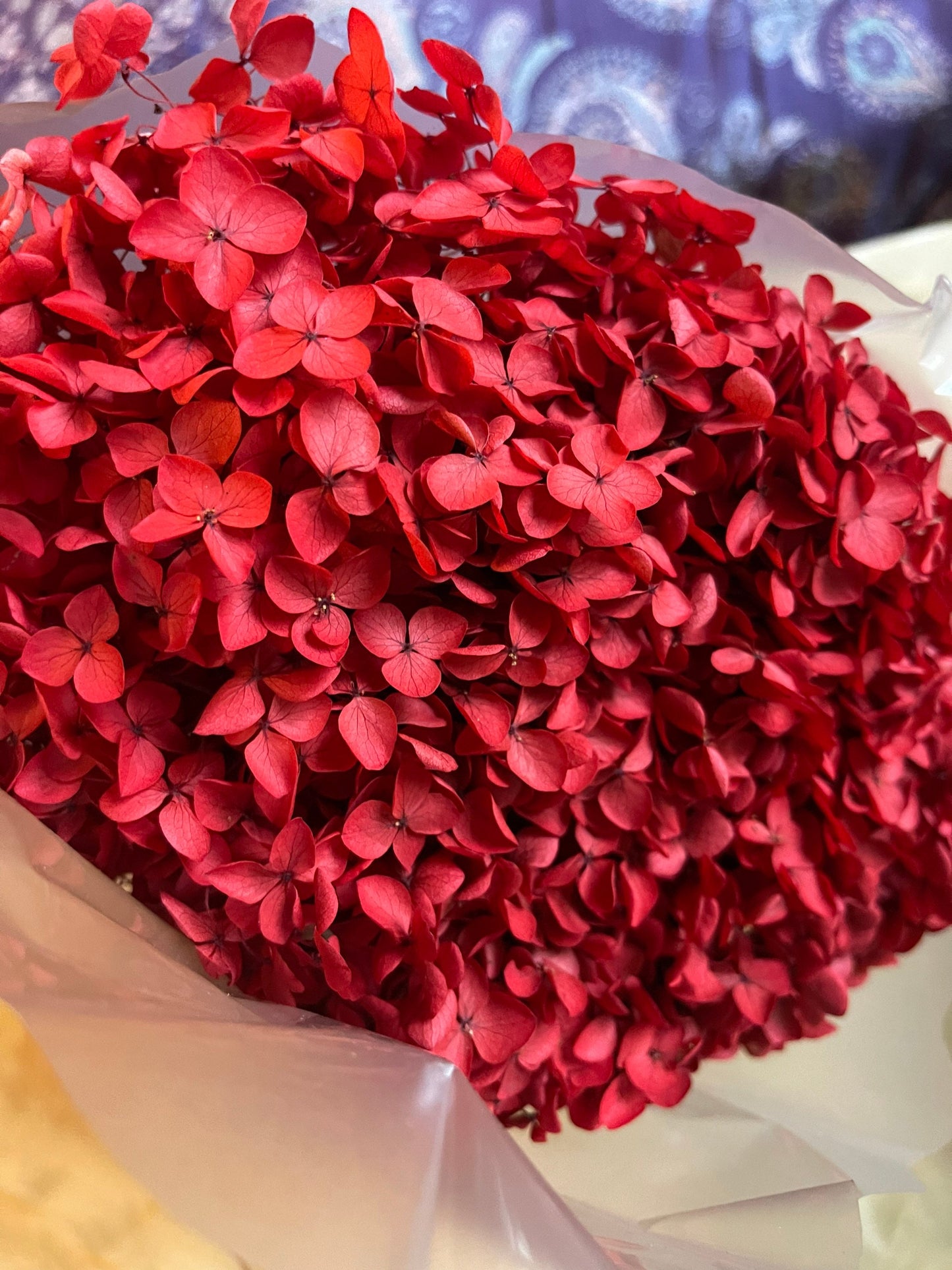 Preserved hydrangea Red color, horstensia preservé, stabilisé, diametre 20cm