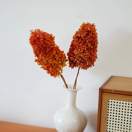 Preserved tower paniculata hydrangea autumn gradient, bicolored D18-20cm, hortensia, decoration de mariage