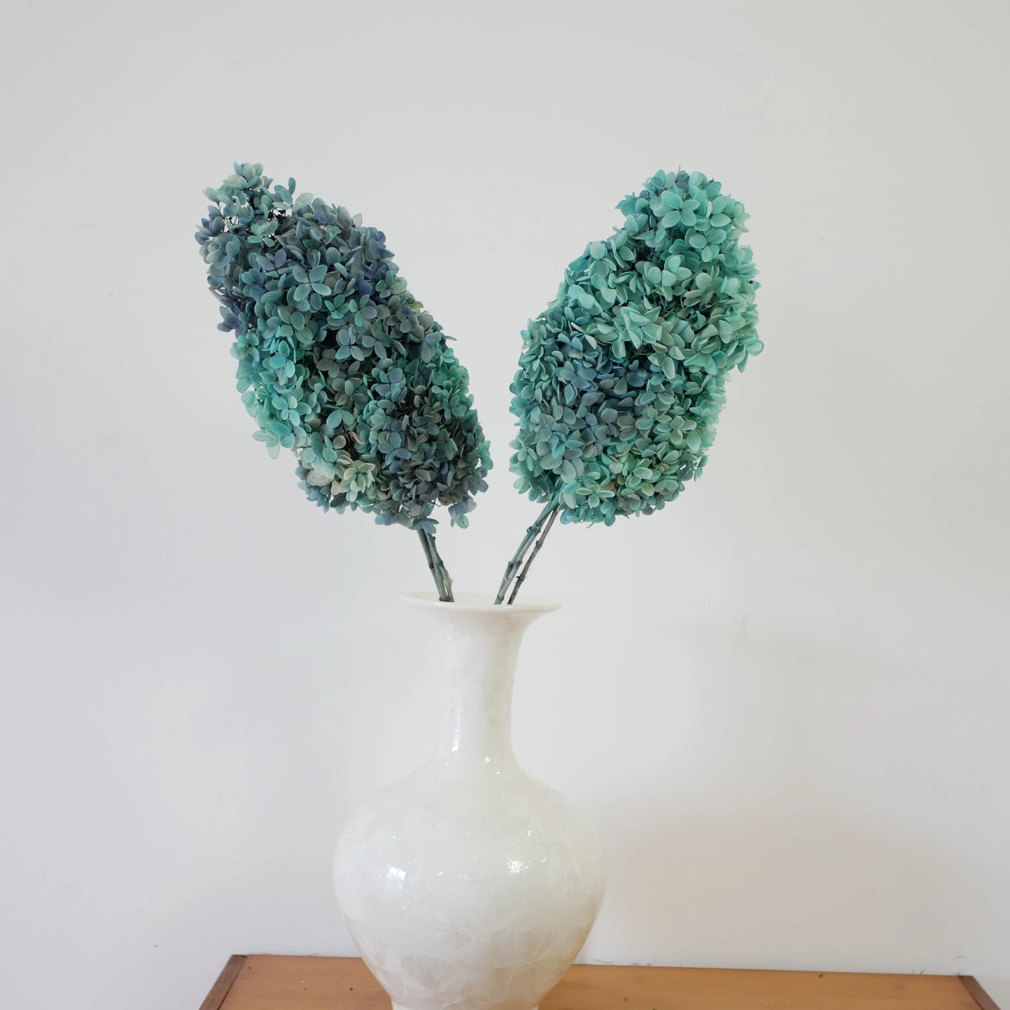Preserved tower paniculata hydrangea Tiffany grey blue, bicolored D18-20cm, hortensia, decoration de mariage