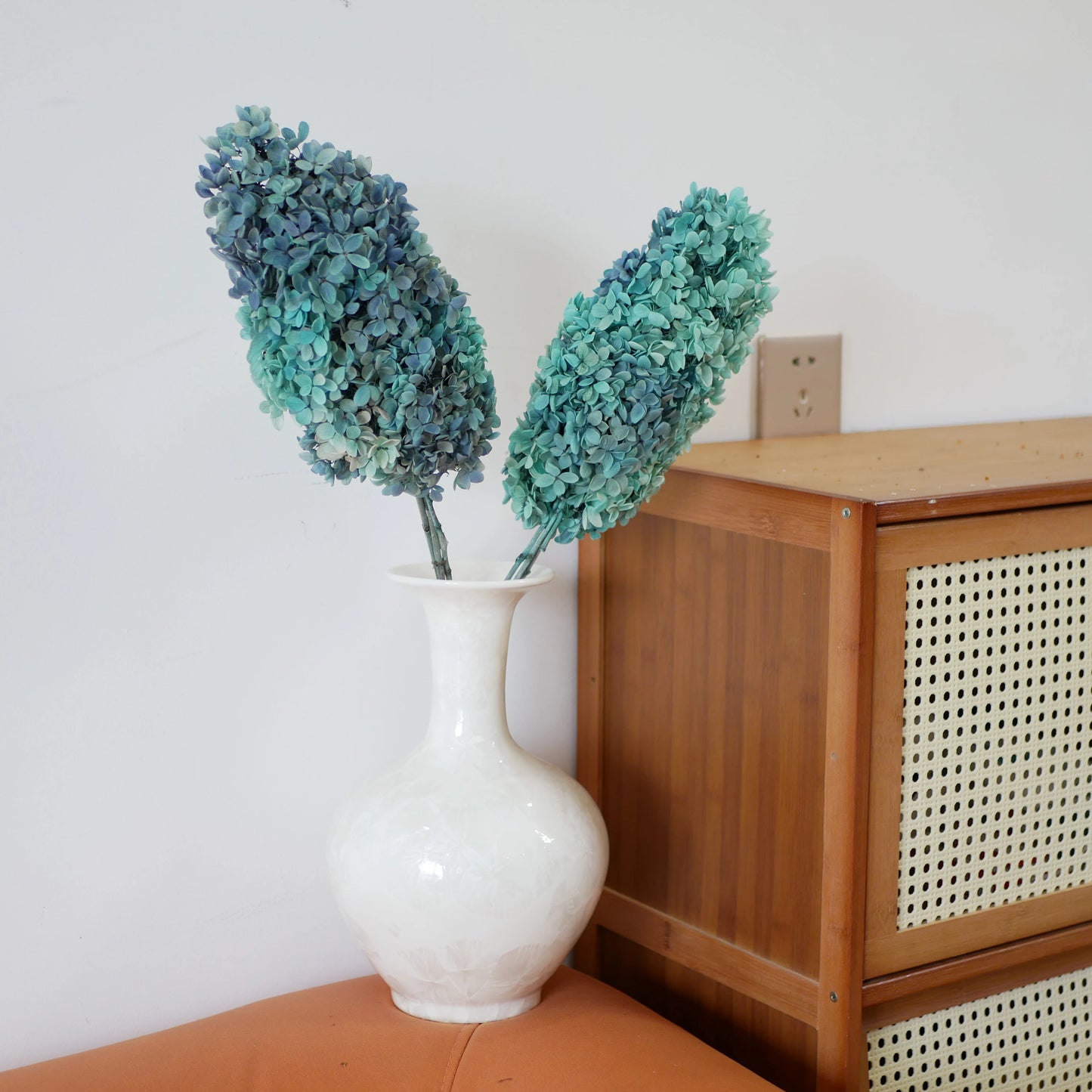 Preserved tower paniculata hydrangea Tiffany grey blue, bicolored D18-20cm, hortensia, decoration de mariage