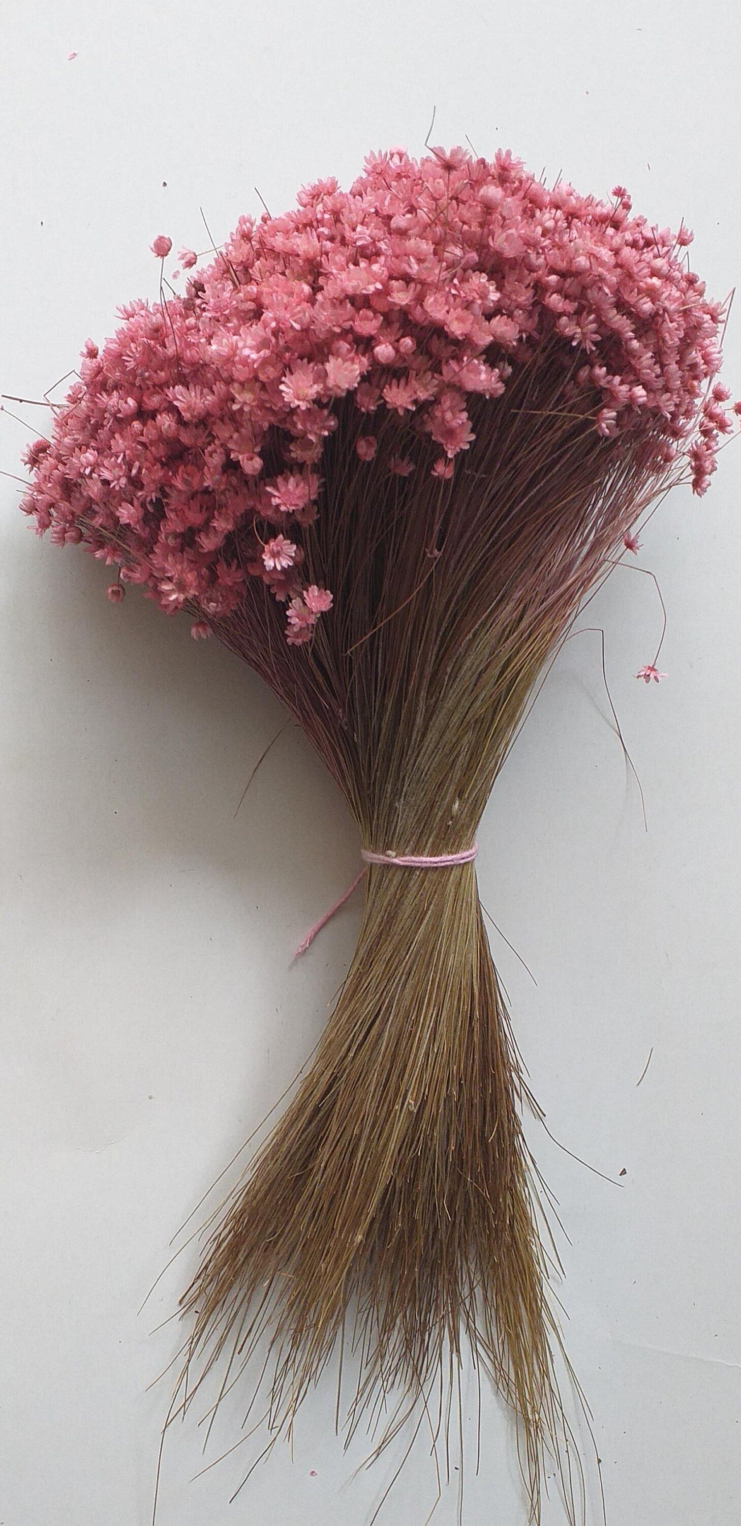 Glixia marcelo 80g, immortelle Brazil, rustic flower, art decoration