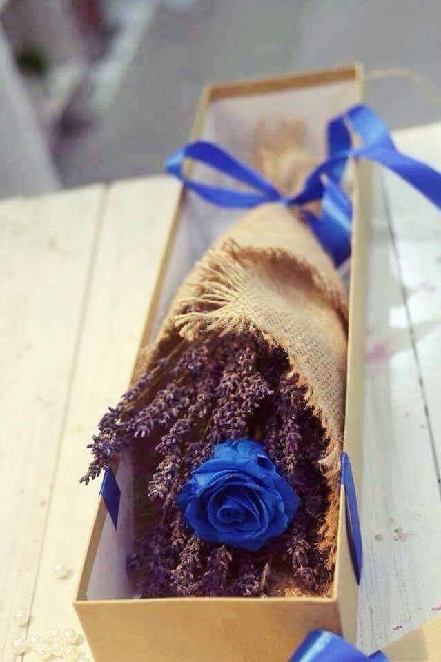 Lavender flower box, lavendula, lavande