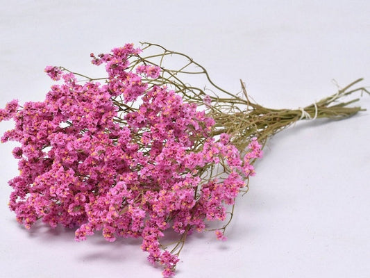 Limonium light pink bouquet 70g, fleur seche