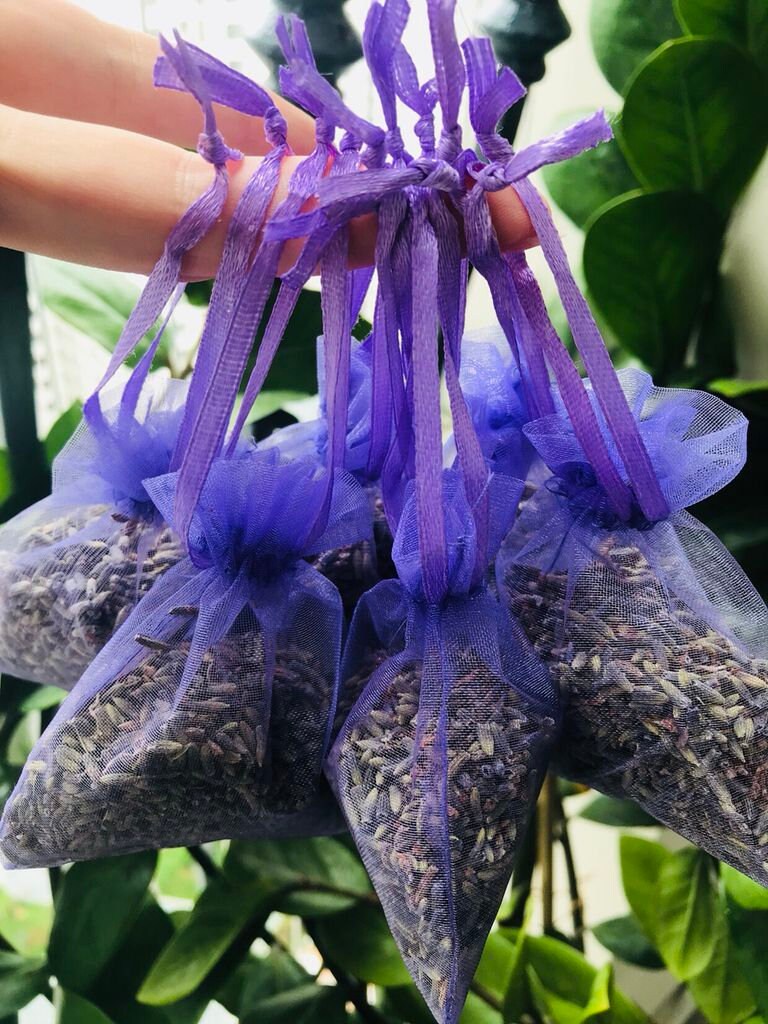 x 10 sachet 15-18g French Provence lavender bud, lavender fragance, lavender bag, gift set, Natural lavender bud