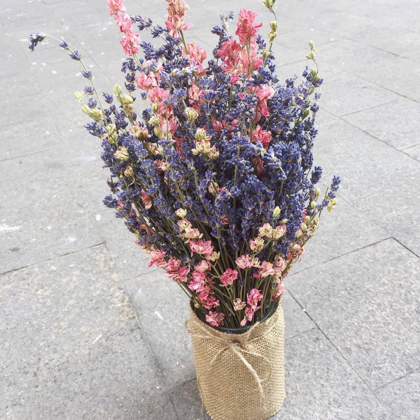 True lavender mix delphium