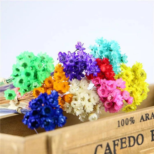 50pc mini bouquet glixia, snowy, immortelle, ministar