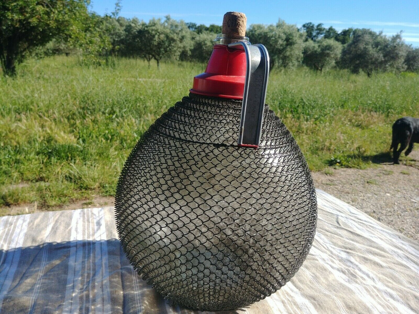 Vintage damejeanne 10L