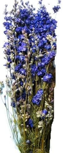 Delphium laskpur lilas bunch, violet bunch 100g, dried flower, composition floral