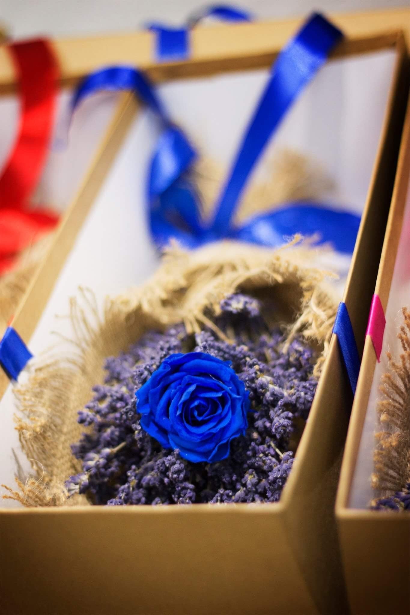 Lavender flower box, lavendula, lavande