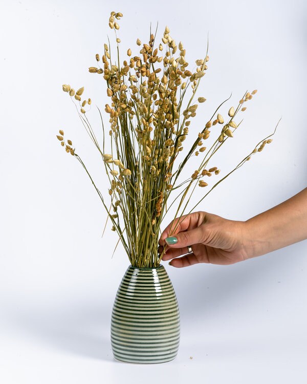 Briza maxima naturel grass, quacking grass 100g/ bunch, home decoration