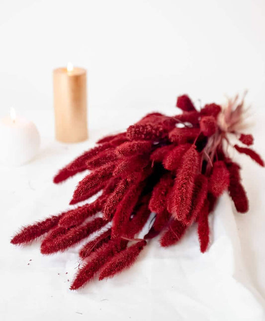 Setaria vive red grass, dried millet, foxtail grass 100g/bunch