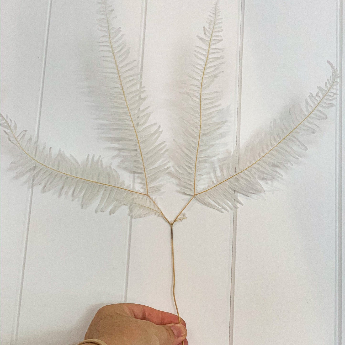 x10 stem bunch preserved moutain fern bleached, white bouquet, wall decoration, wall moss, DYI project