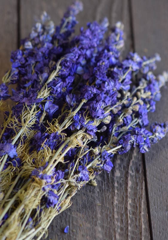 Delphium laskpur lilas bunch, violet bunch 100g, dried flower, composition floral