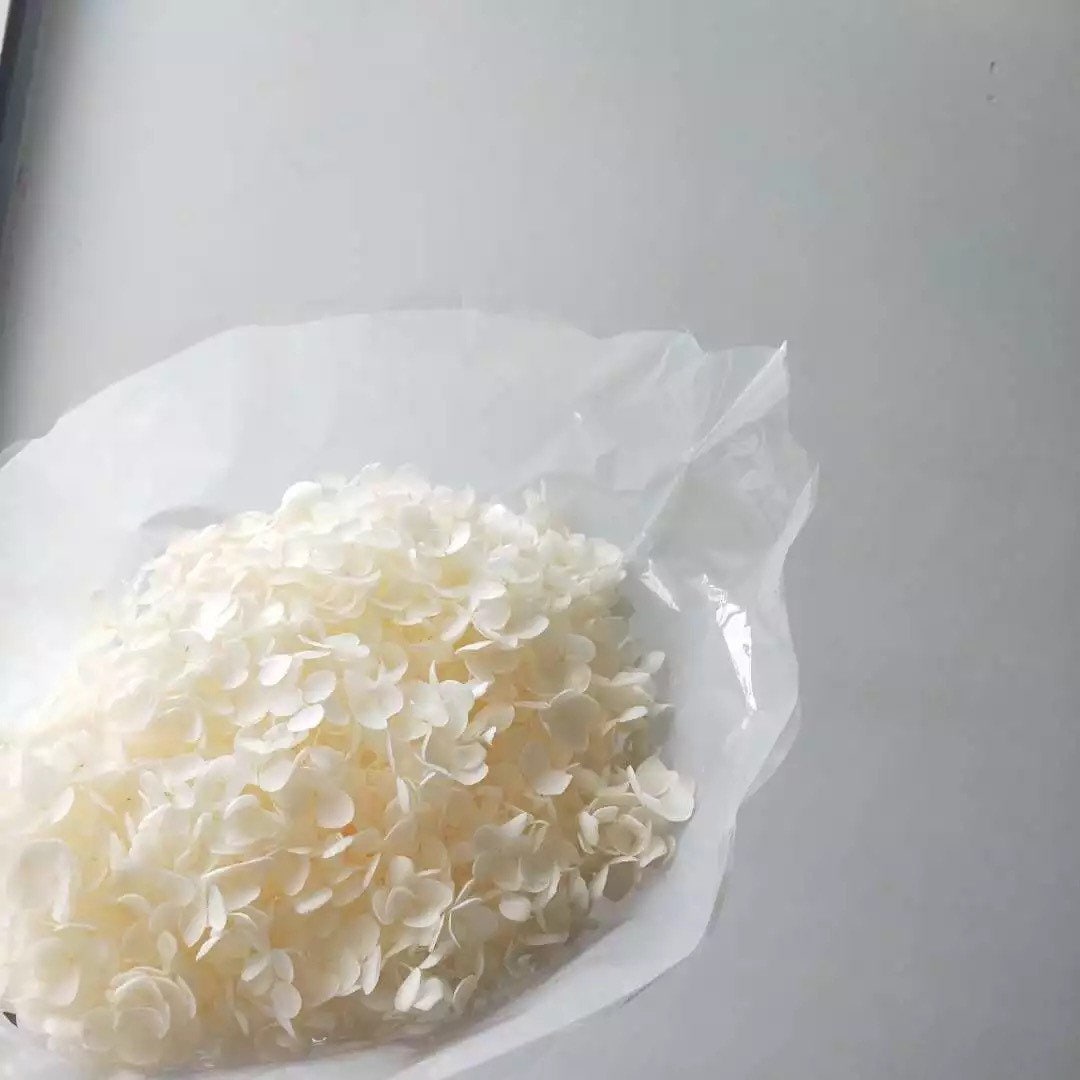 Creamy white Preserved anna hydrangea Diamter 20-22cm, hortensia, bridalflower, preserved white/bleached