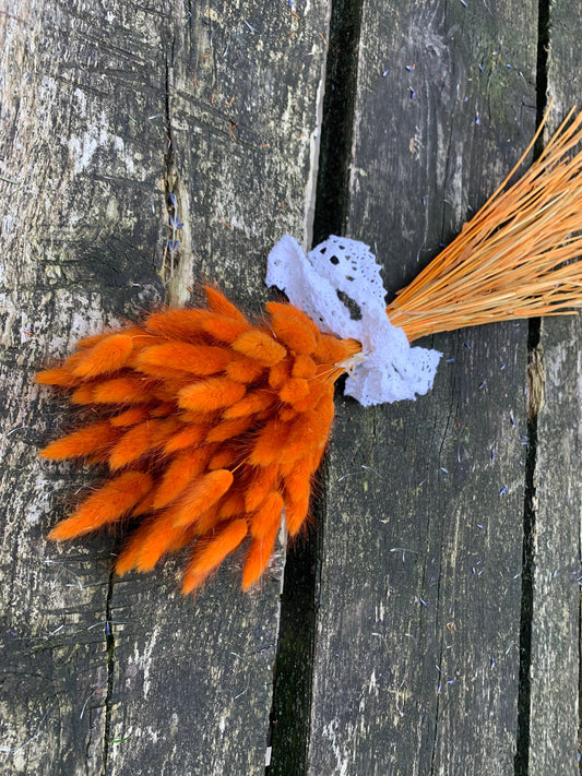 Bouquet Lagurus brick orange/terracota, queue de lapin, mini pampas, home decoration