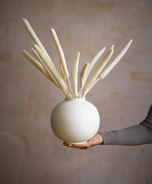 x8 stem bunch Dried Babala, white bouquet