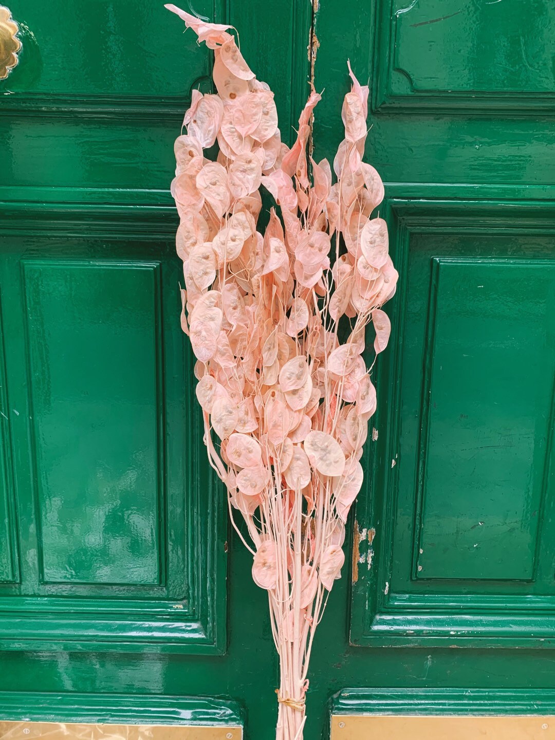 Preserved lunaria pink pastel, lunaria stabilise, monnaie du pape, honesty 70-90cm