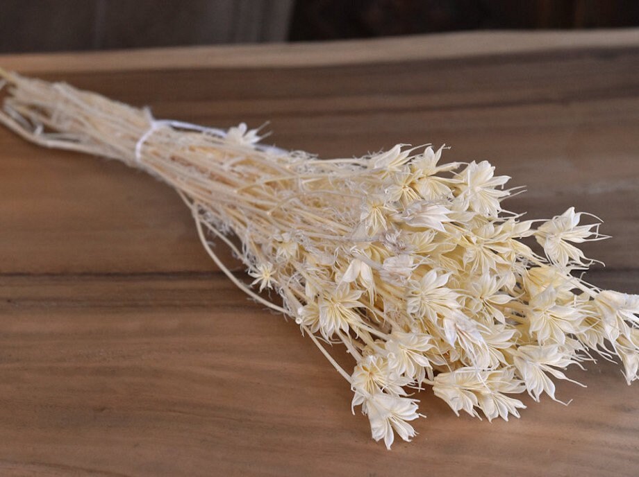 Nigella orientale bleached, white bouquet 100g, dried flower, rustic bunch