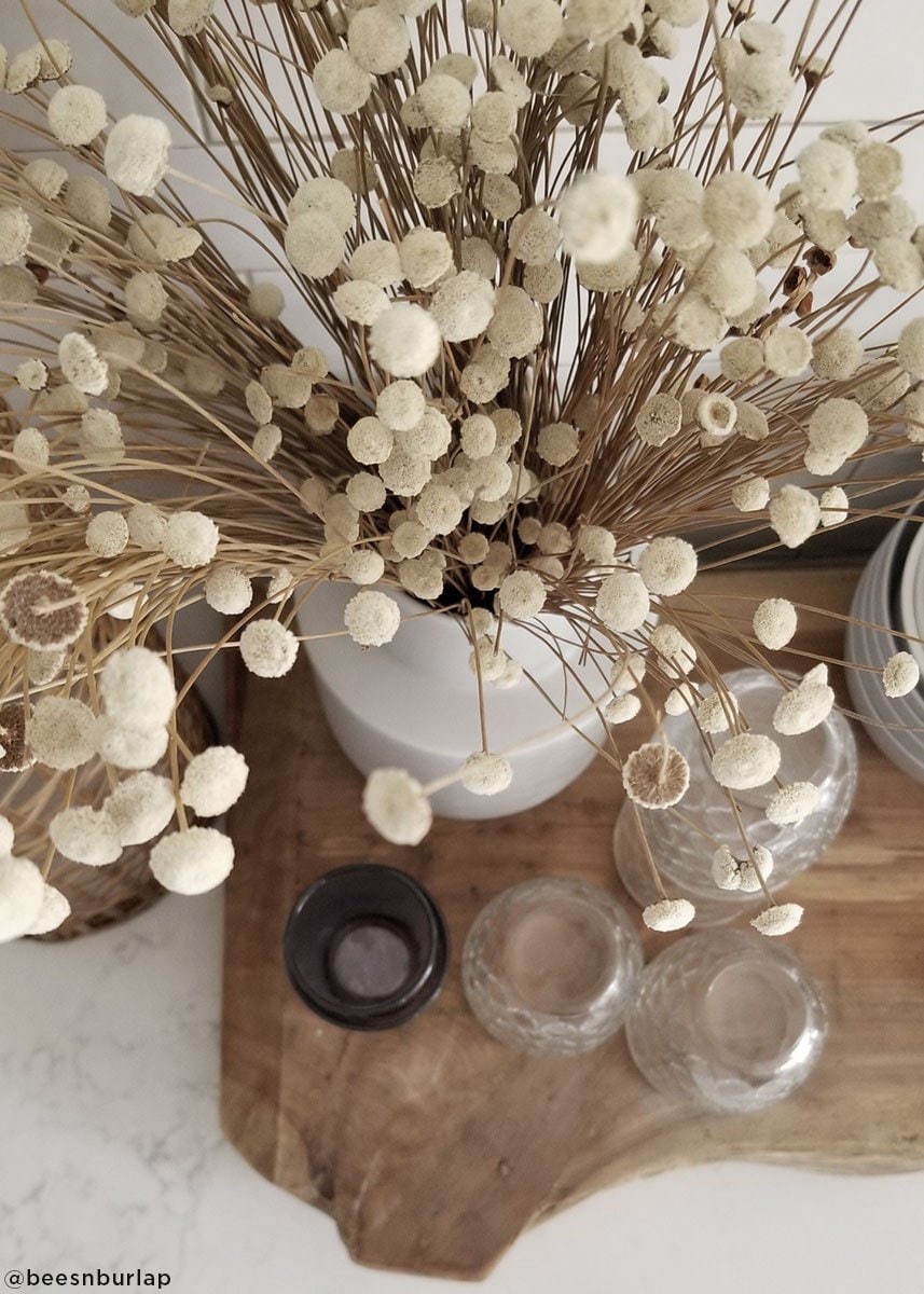 Natural dried floral button flower, white bunch, natural rustic bunch 100g