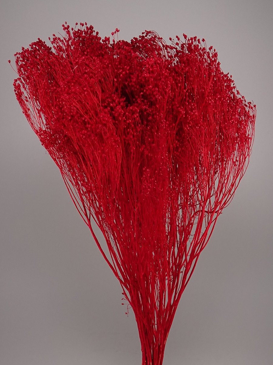 Dried bloom groom hot red, baby breath 100g, Noel bunch