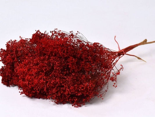 Dried bloom groom hot red, baby breath 100g, Noel bunch