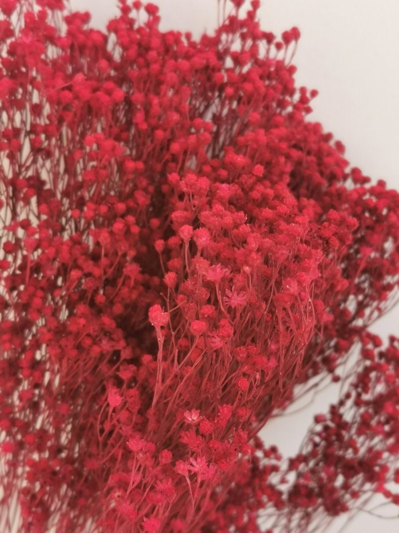 Dried bloom groom hot red, baby breath 100g, Noel bunch