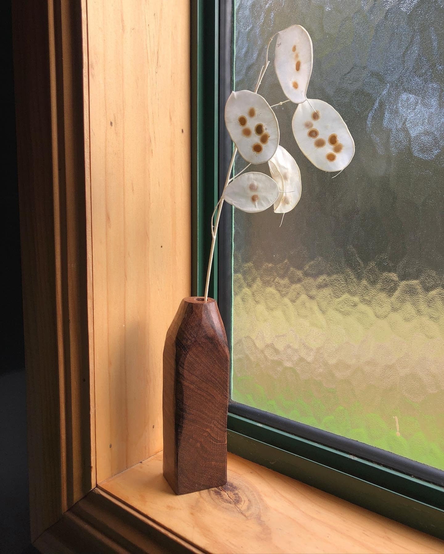 Mini bunch bleached preserved lunaria biennes short stems 20-25cm,monnaie du pape stabilisé