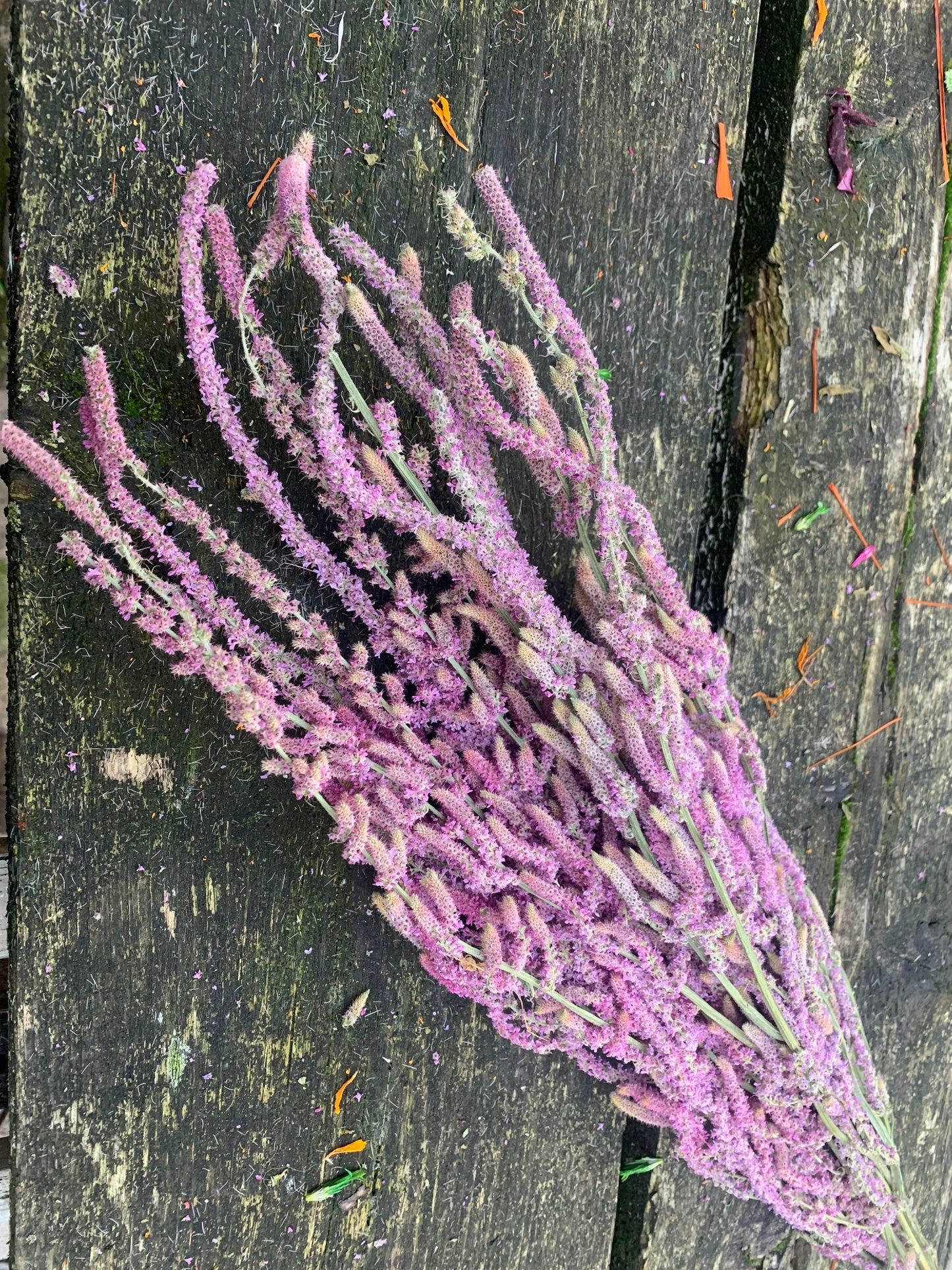 Dried Statice suworowii,Bouquet rose 100g per bunch