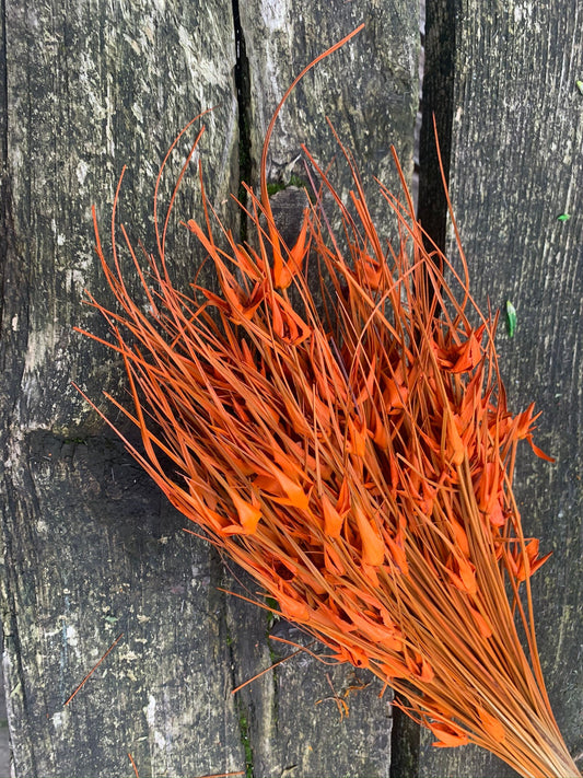 Bouquet orange, paradis bird flower, 100g per bunch