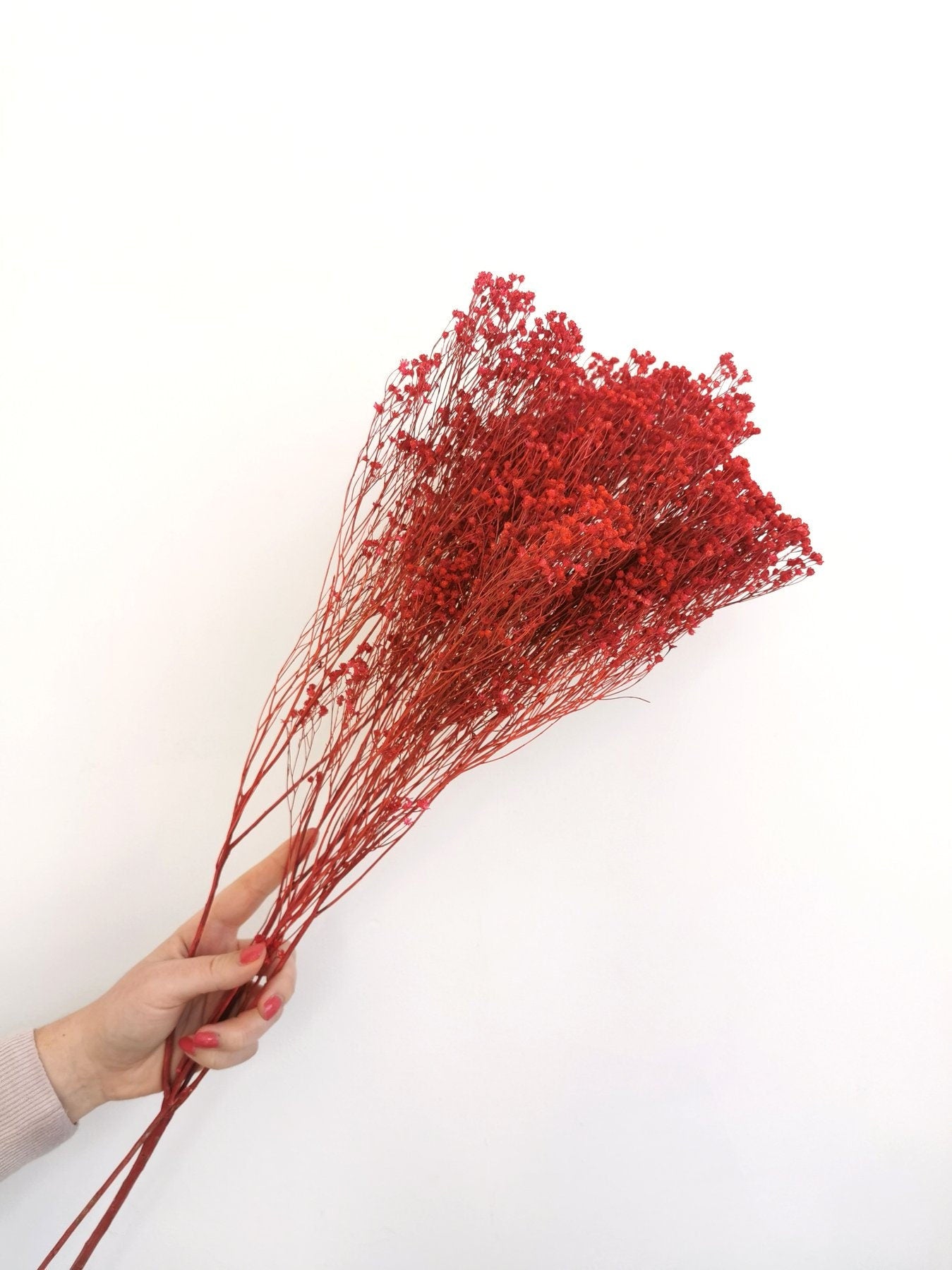 Dried bloom groom hot red, baby breath 100g, Noel bunch