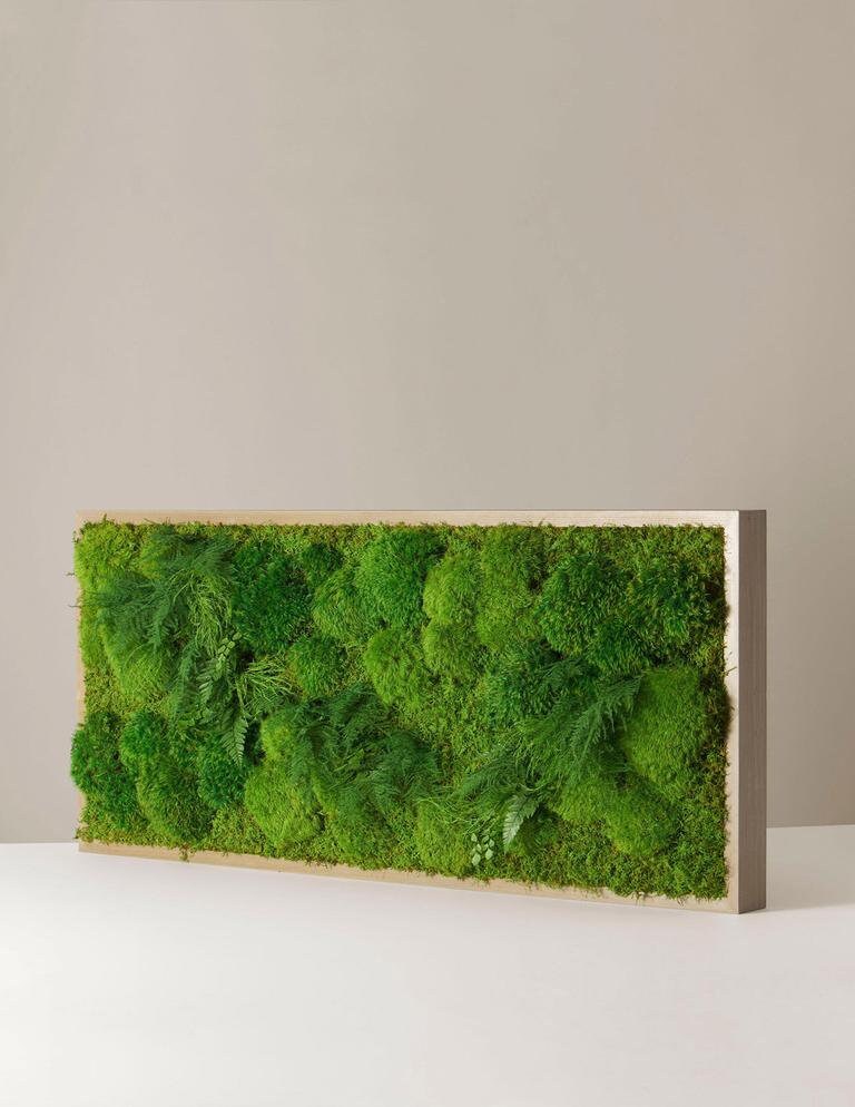 Spring Green Preserved Reindeer Moss, mosse stabilise, wall decoration, wall hanging tool, interior decoration