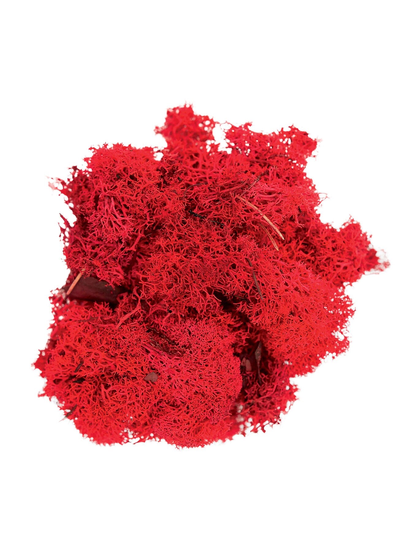 Reindeer Moss Red, preserved moss, wall decoration, wall moss tool