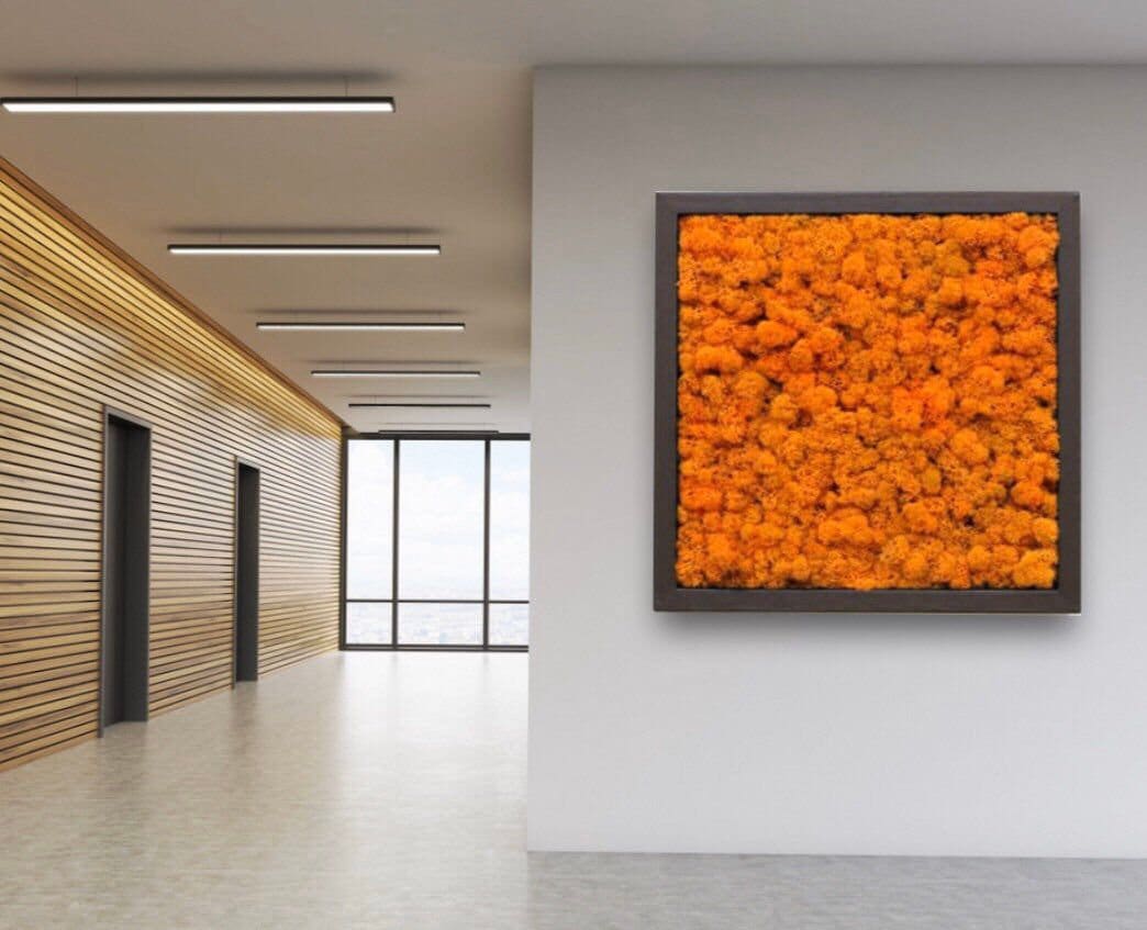 Orange preserved reindeer moss, wall decoration, terrarium