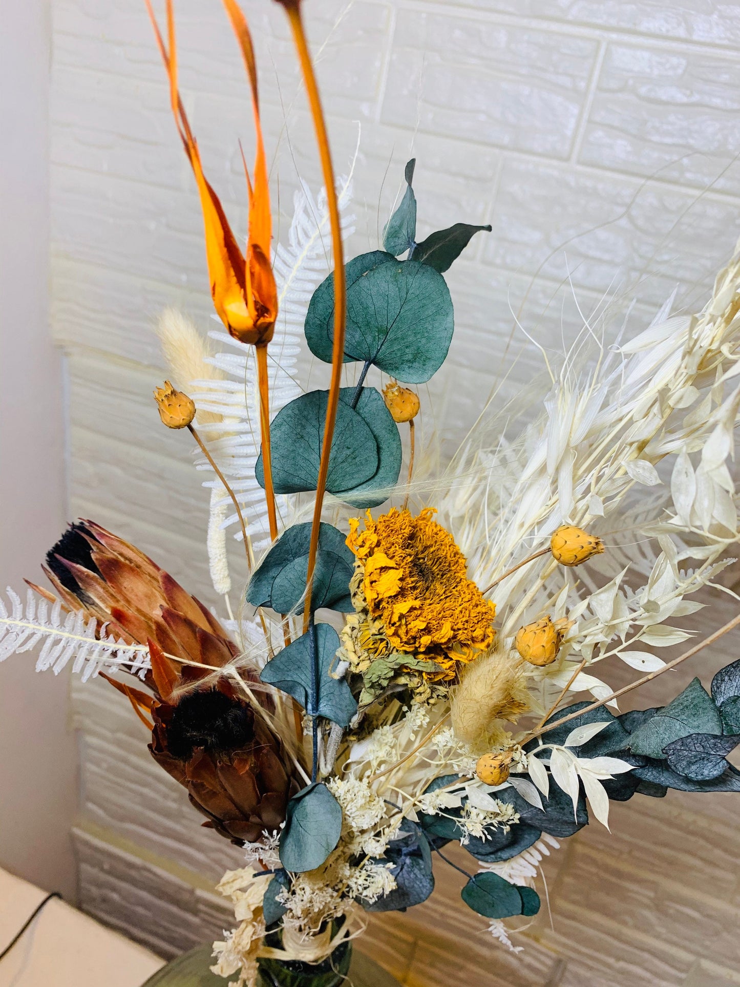 Houston exotic bunch