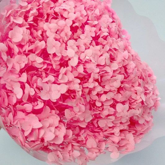 Big size 20-22cm preserved Pink gradient hydrangea,hortensia rose, decoration, wedding