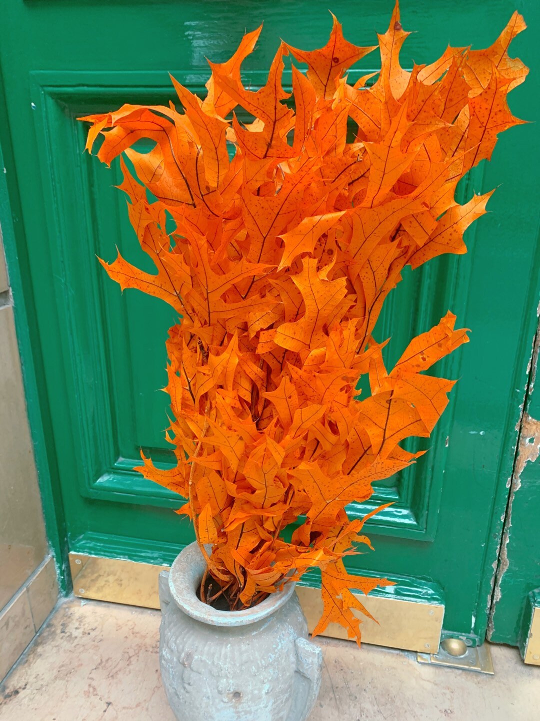 Preserved orange oak leave bunch 120g, preserved leap, autumn decoration