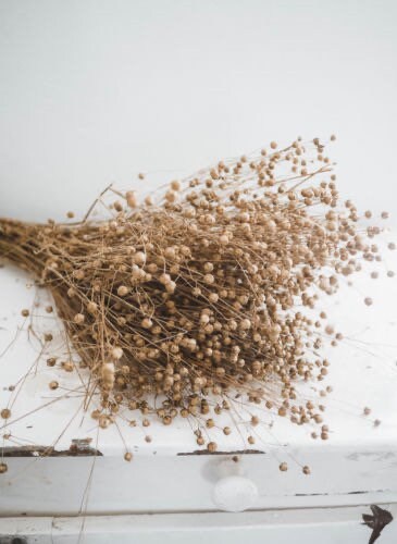Flax linum, dried linum natural bunch 90-100g