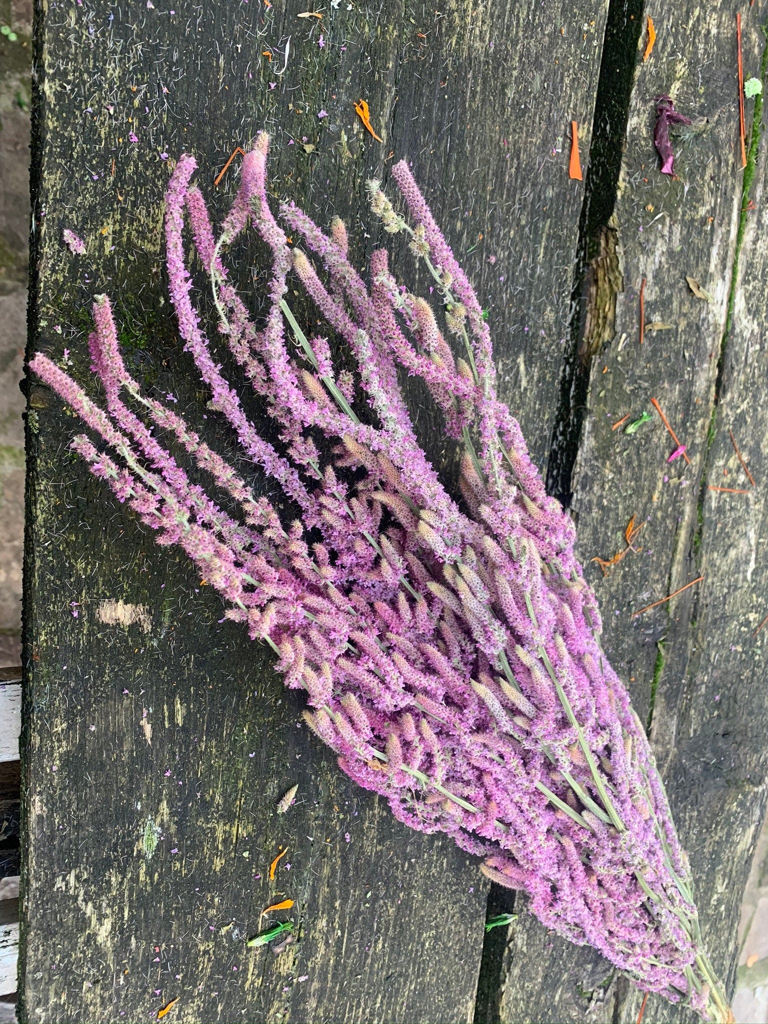 Dried Statice suworowii,Bouquet rose 100g per bunch