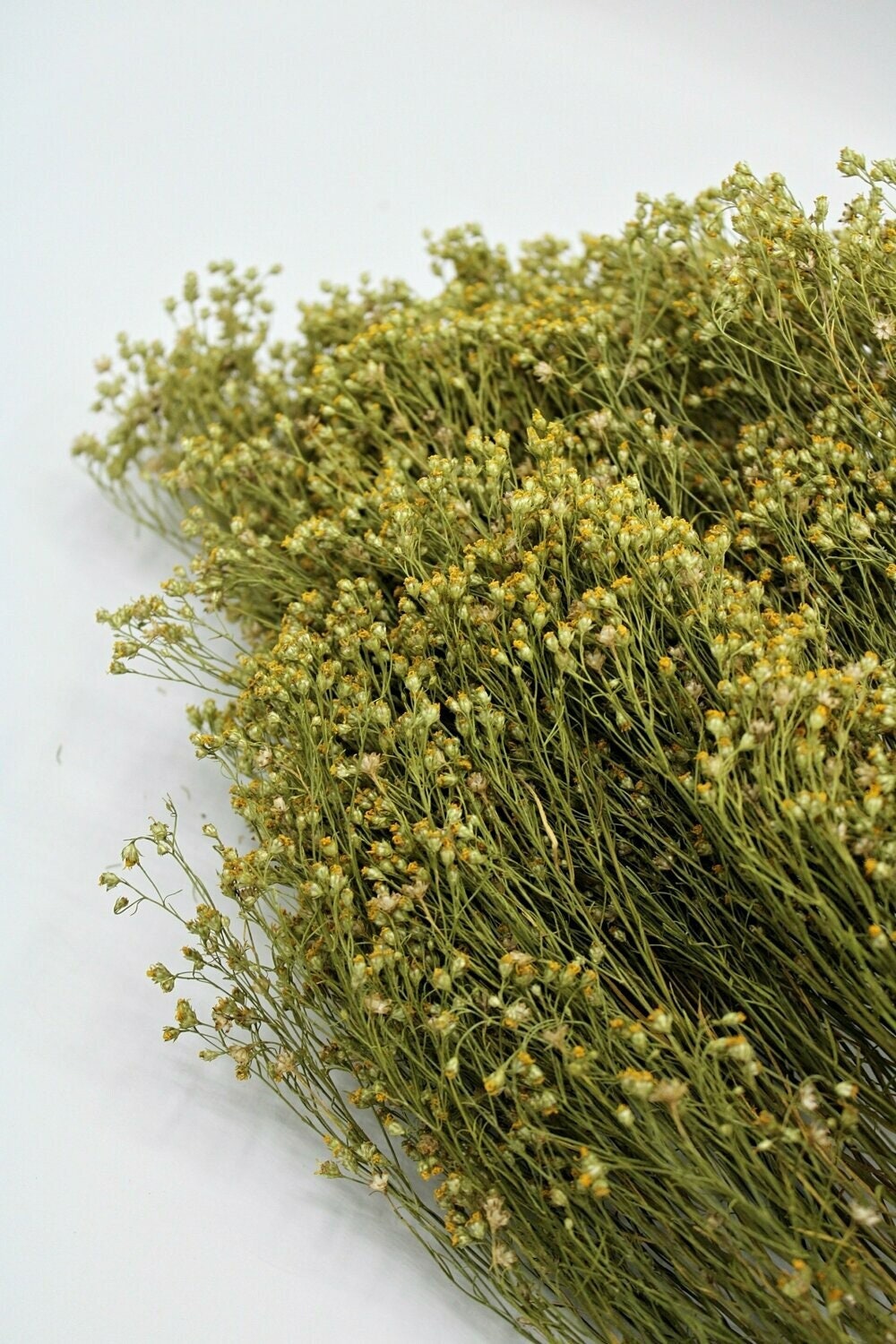 Bloom groom natural, gold green natural bloom groom dried flower 100g per bunch