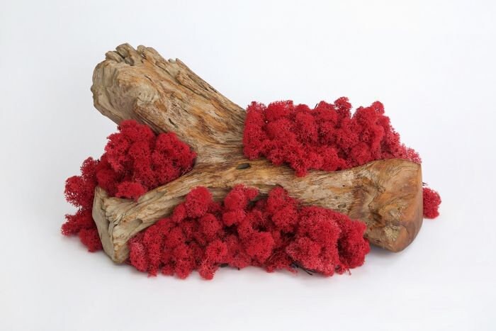 Reindeer Moss Red, preserved moss, wall decoration, wall moss tool