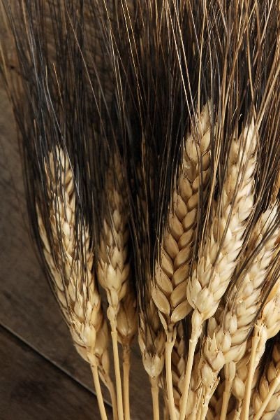 Black wheat bunch 120g, rustic decoration dried flower