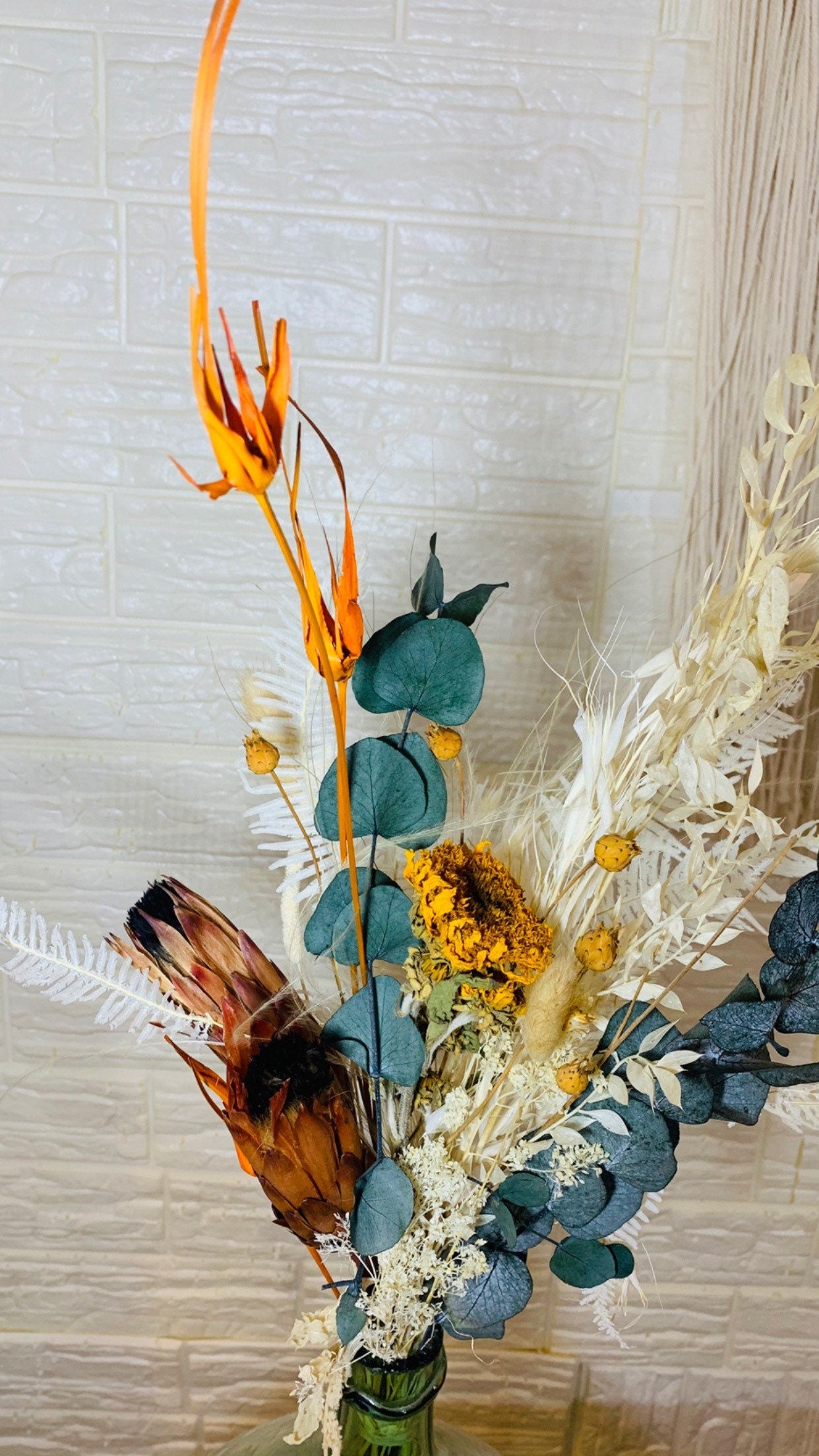 Houston exotic bunch