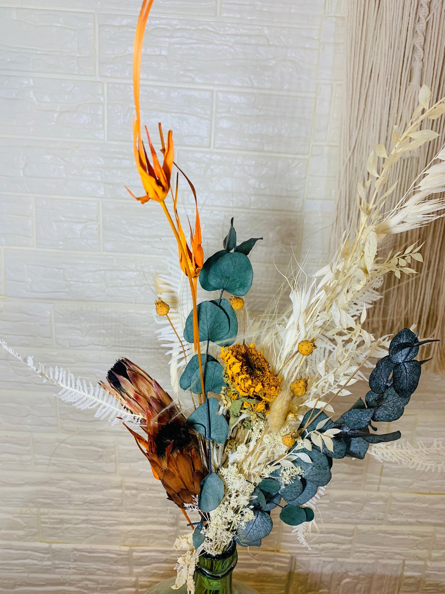 Houston exotic bunch