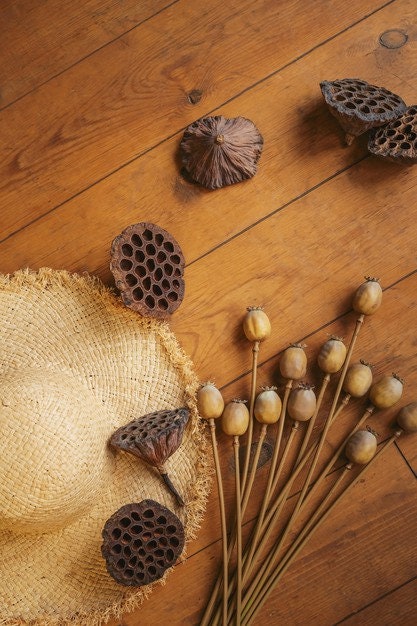 x10 dried lotus pop, DIY craft tool