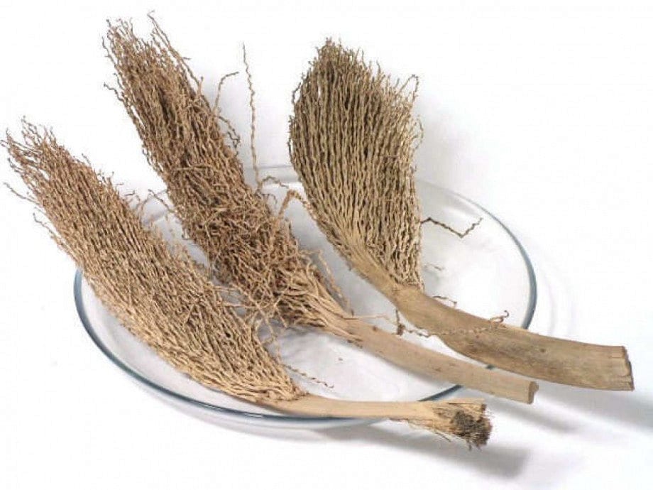 Palm torche , rustic table decoration 35-40cm, exotic botanical